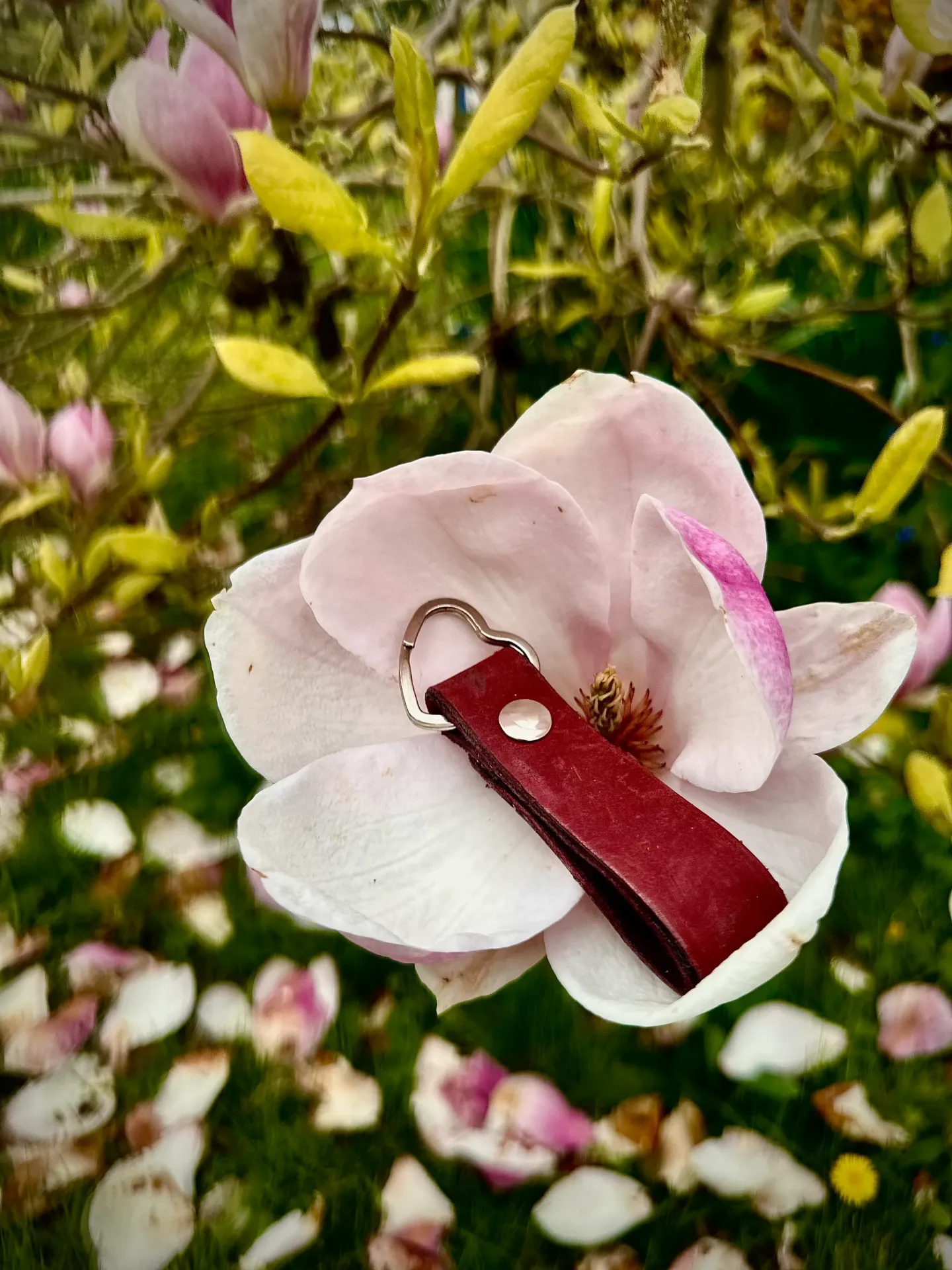 Cœur d'Oria Bordeaux